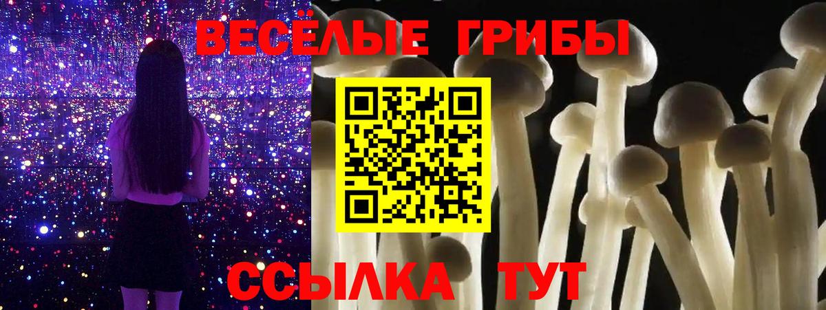Псилоцибиновые грибы Cubensis Павловский Посад