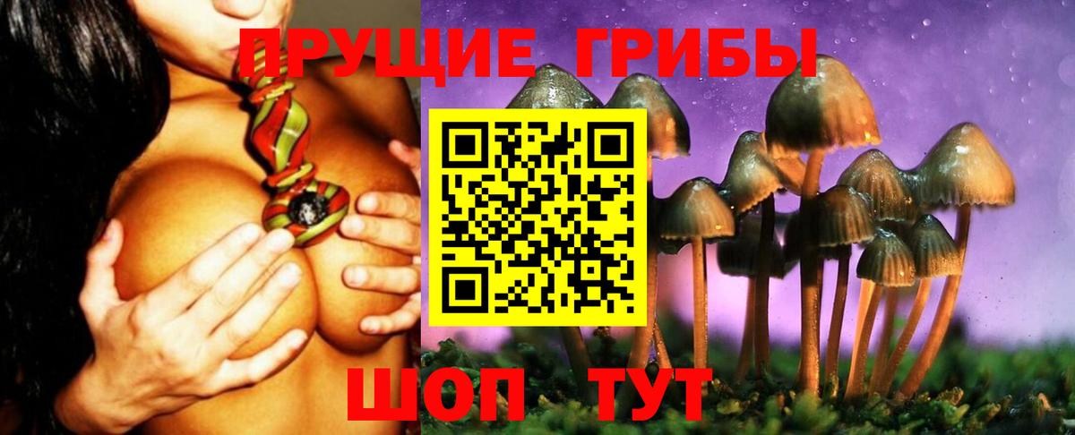 Павловский Посад  Галлюциногенные грибы мицелий  Вход с VPN  Псилоцибиновые грибы Psilocybe 