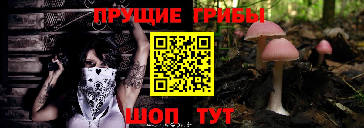 Галлюциногенные грибы мухоморы  Павловский Посад 